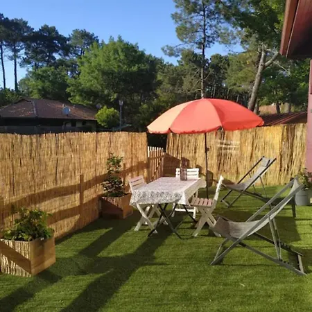 Maison Minet Holiday home *